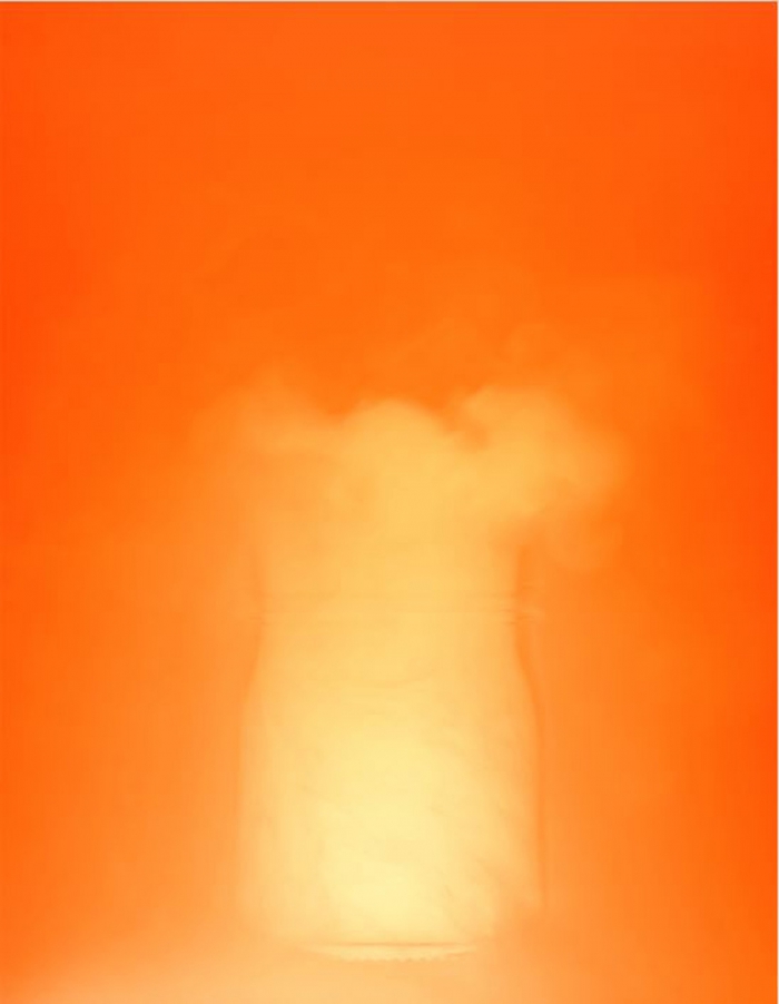 SUMMER EXHIBITION