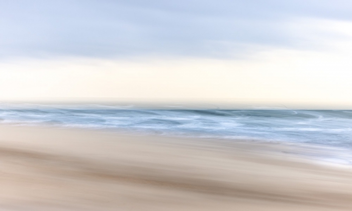 Portraits of Nature