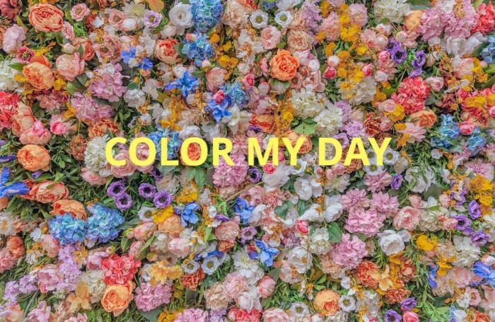 COLOR MY DAY