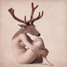 deer-ii