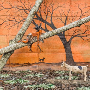 Bosala Leopard Walé