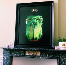 Lucky Scarab