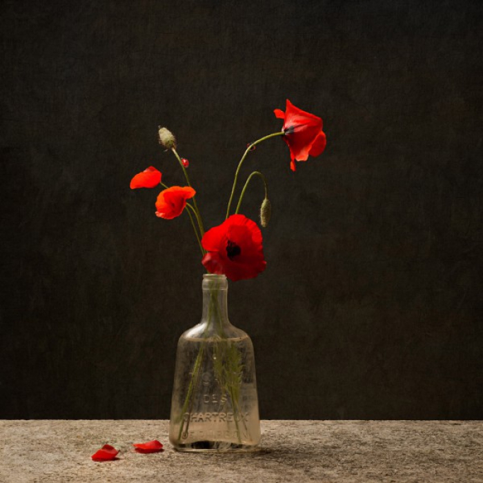 Coquelicot