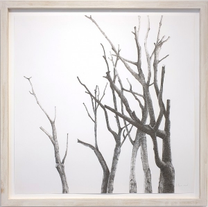 Growing Woodwork