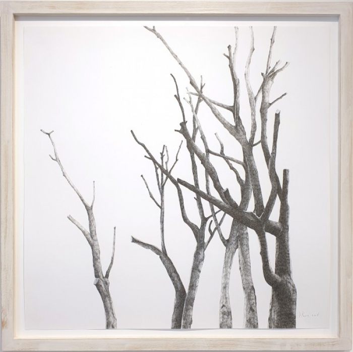 Growing Woodwork