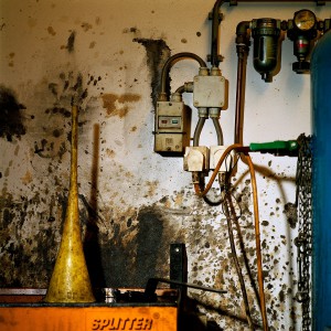 Garage Still # 05 / 2014