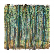 Collected Forest No.03.2