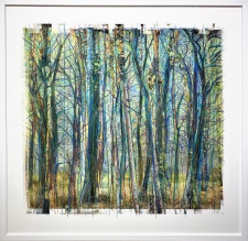Collected Forest No.03.2