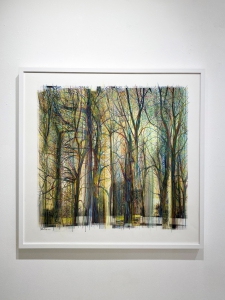 Collected Forest No.09.1 *