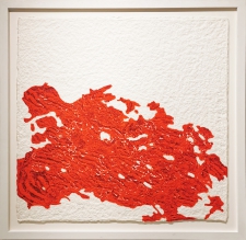 Rot