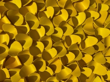 * Yellow *