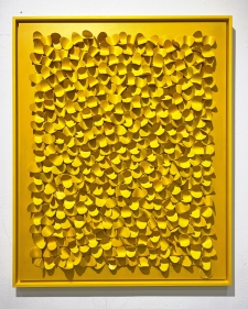 * Yellow *