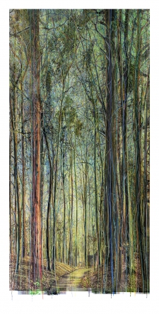 Collected Forest No.15.1V '22