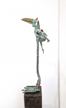 crazy-bird-male