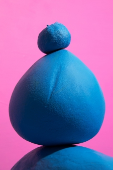 blue-pomelo-1-5