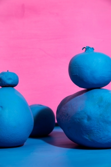 blue-fruity-landscape-1-5