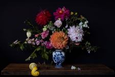 * Dahlia's Perception - Museumplex * - 3/9