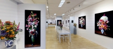Proud Dahlia IV - Museumplex - 3/9 *