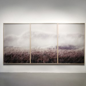 Rime triptych