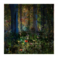 Mixed Forest No. 18 - 1/3