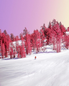 Frozen Memories