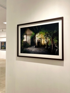 Palms - edition 7/10
