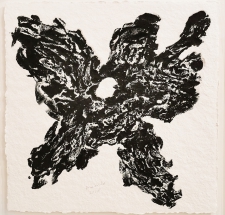 blume-schwarz