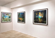 Mixed Forest No. 49 - 1/3