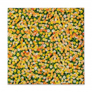 Yellow Daisies