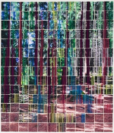 enchanted-forest
