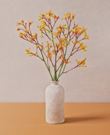 Anigozanthos in a beige vase