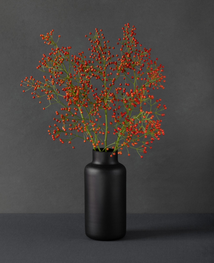 Rosehips in a black vase