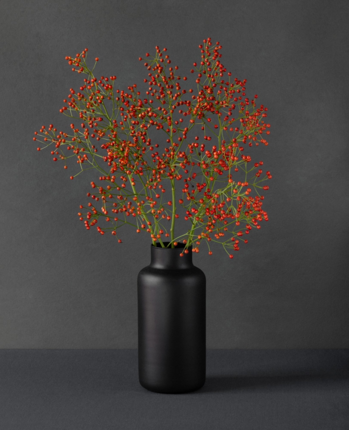 Rosehips in a black vase