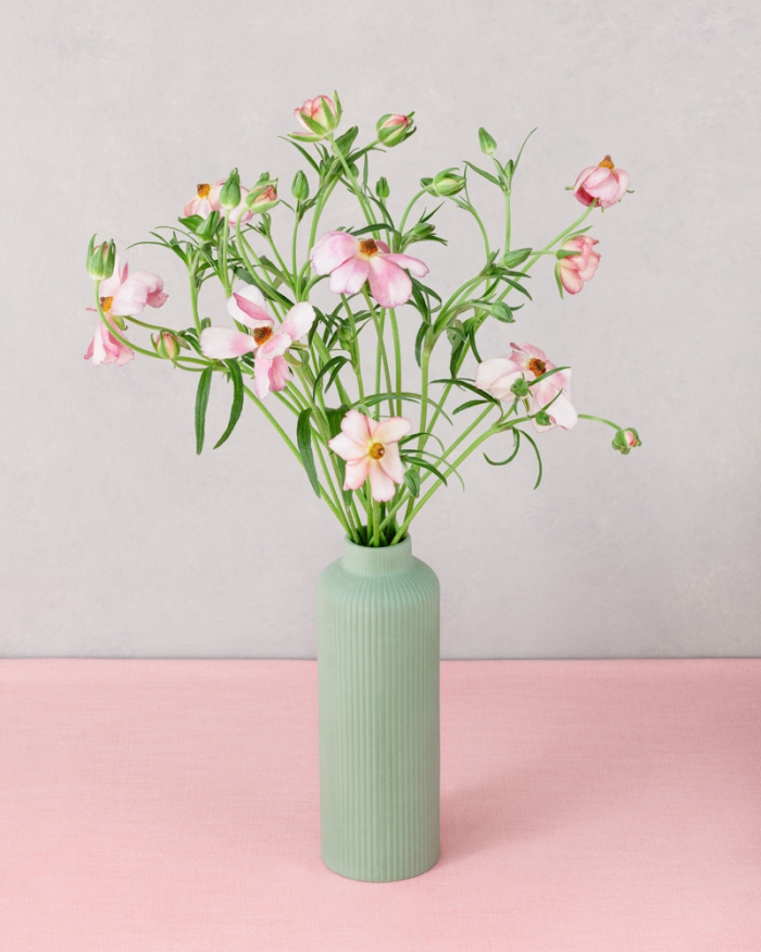 Ranunculus in a green vase