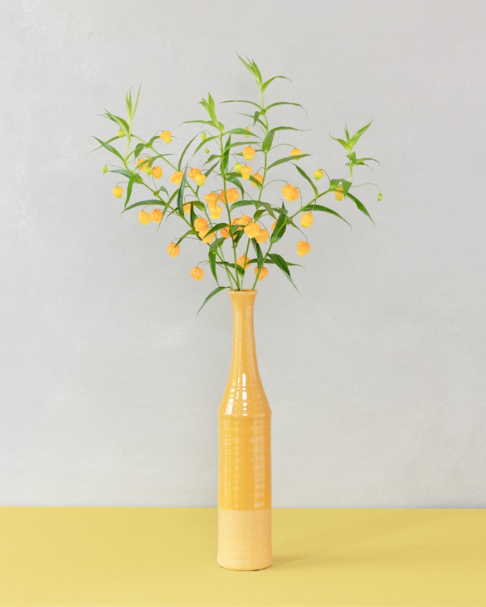 Physalis in a yellow vase