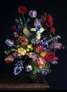 Tulip Mania - 9/9