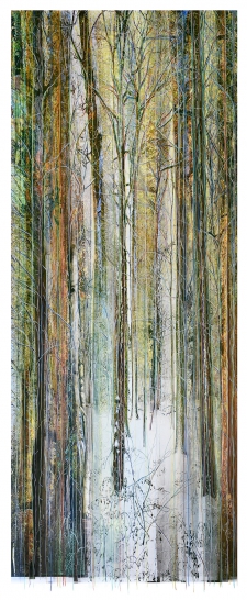 Collected Forest No.17