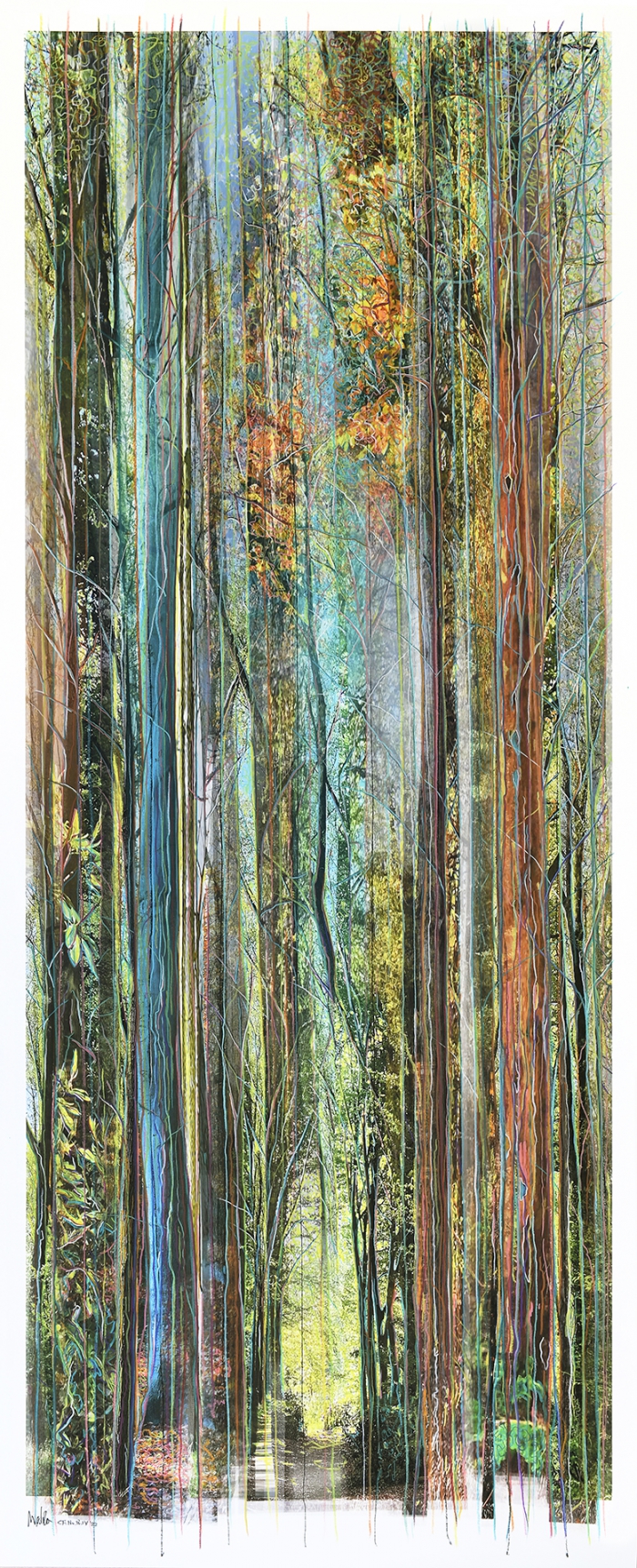 *Collected Forest No.18*