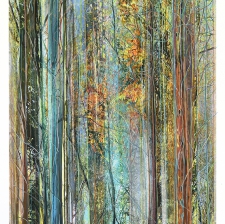 Collected Forest No.18
