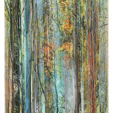 *Collected Forest No.18*