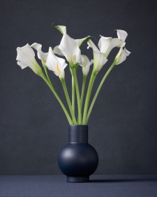 callas-in-blue-vase