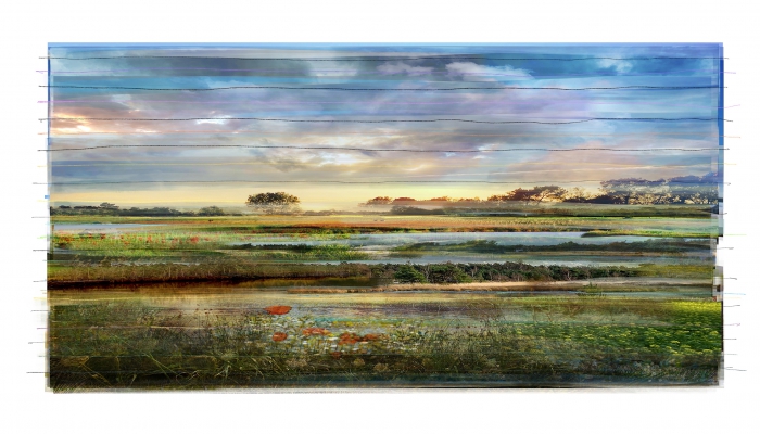 Collected landscape No. 61 - Big version on linen 3/6