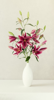 Lillys in a white vase