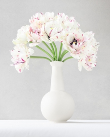 marble-tulips-in-a-white-vase