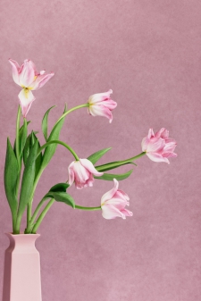 Tulips in a pink vase (tweeluik)