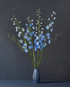 delphinium-in-blue-vase