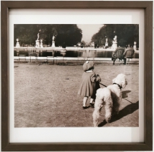 Tuileries Gardens (1953) - Dorothy Bohm