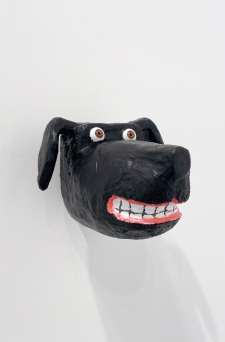 honden-kop-liggende-oren
