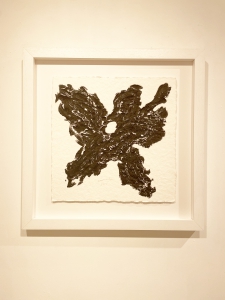 blume-i-schwarze