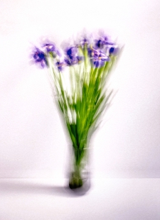 untitled-purple-2023-1-7